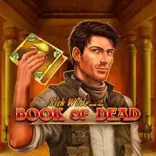 Book of Dead logo by Play'n GO Janusz Casino